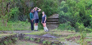 the rainforest ecolodge