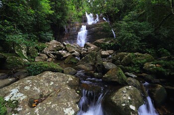 the rainforest ecolodge