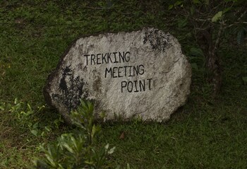 the rainforest ecolodge