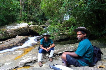 The Rainforest Ecolodge,Deniyaya>>Colombo,4 star