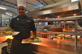 the rainforest ecolodge