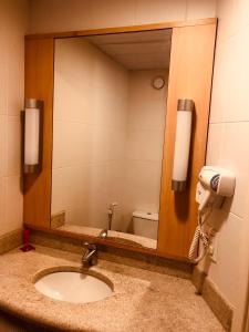 ibis presidente prudente manoel goulart