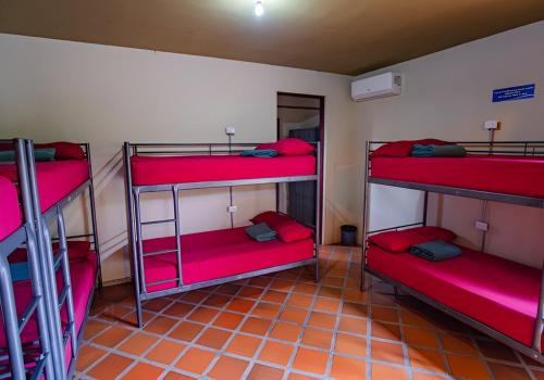 arenal backpackers resort