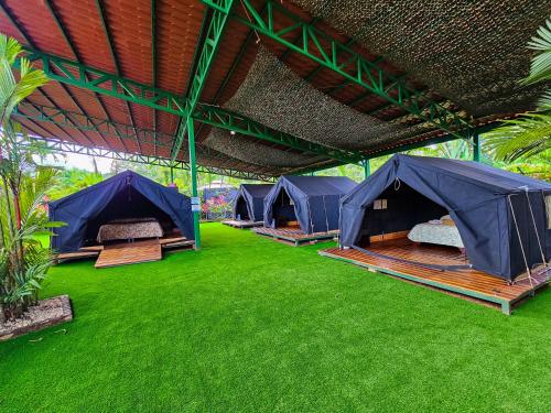 arenal backpackers resort
