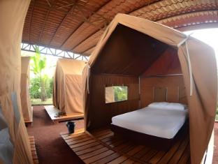 arenal backpackers resort