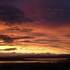 el calafate