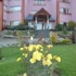 el calafate