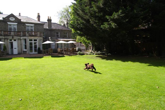 gonville hotel