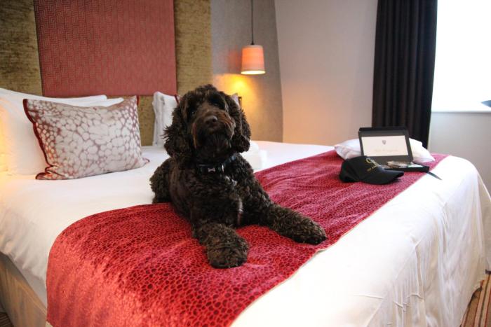 gonville hotel