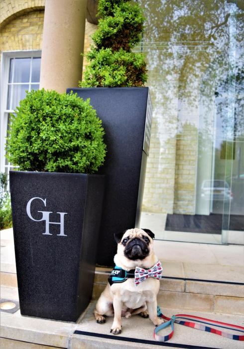 gonville hotel