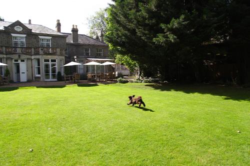 gonville hotel