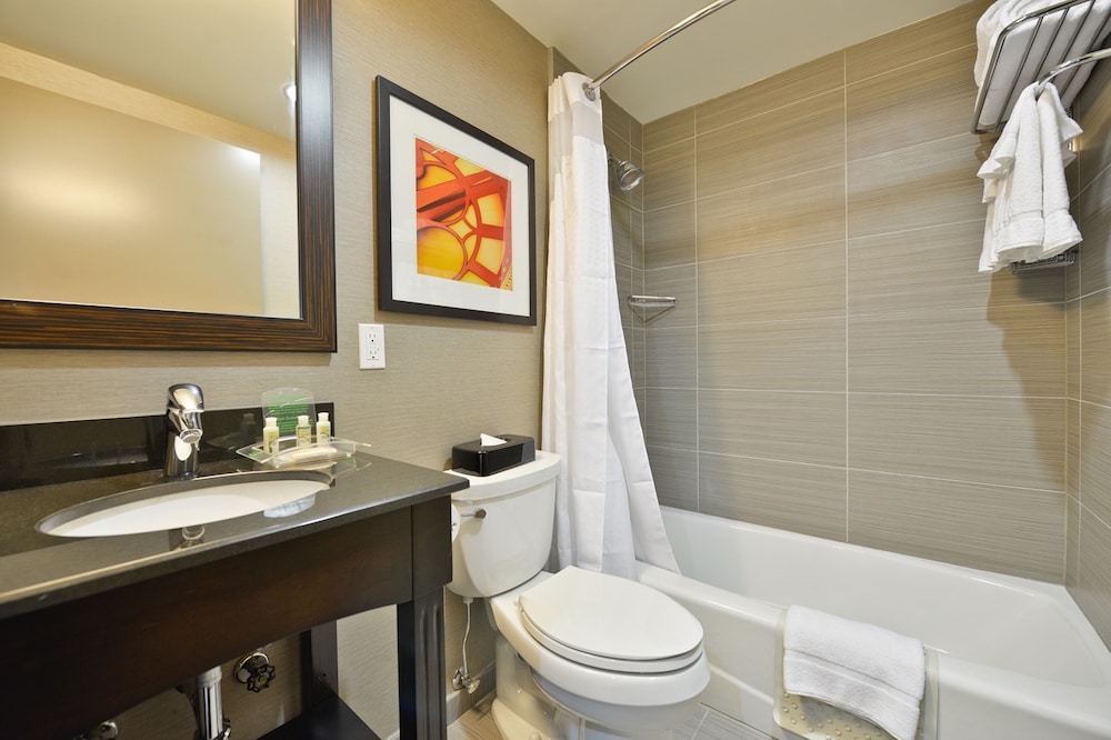 holiday inn nyc lower east side by ihg