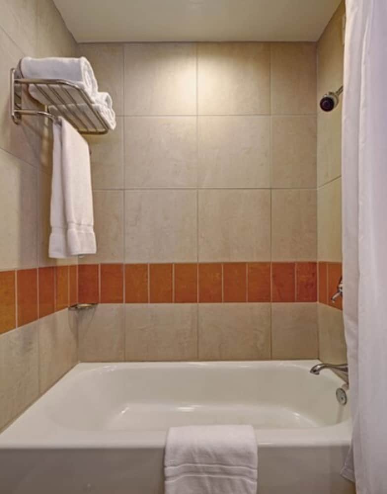 hotel giraffe by library hotel collection