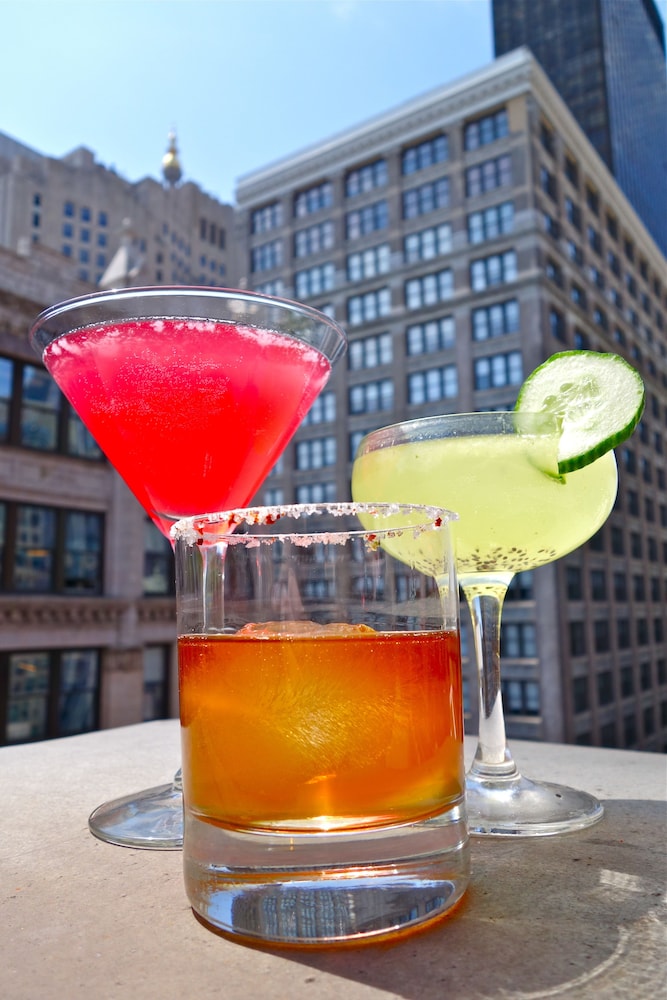 hotel giraffe by library hotel collection