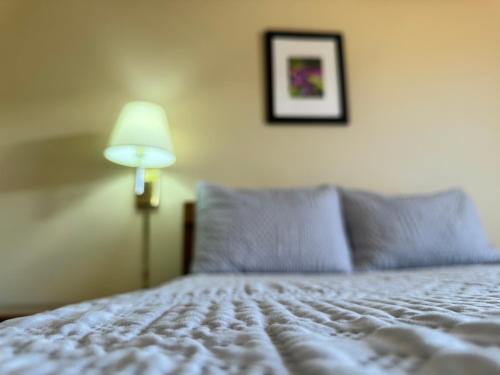 quilt inn