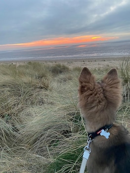 glendower hotel bw signature collection