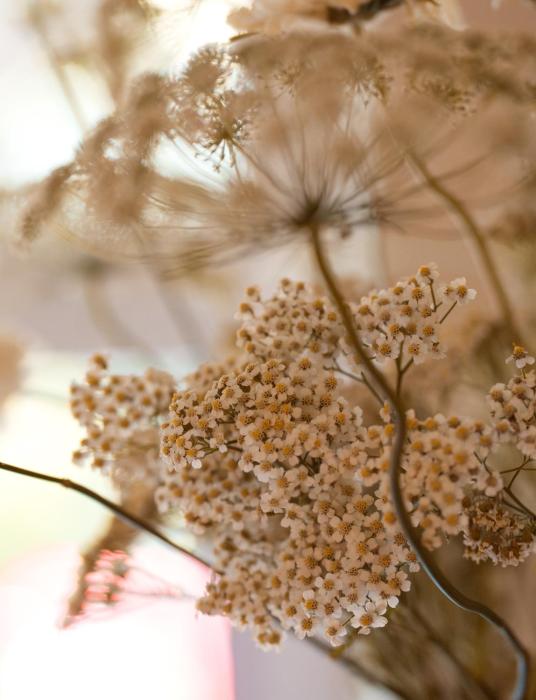 leighton townhouse adults only