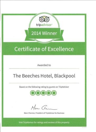 the beeches