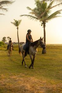 kalpitiya