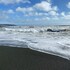 trepassey