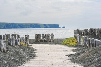 edge of the avalon inn