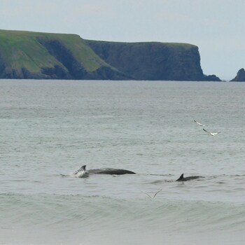 edge of the avalon inn