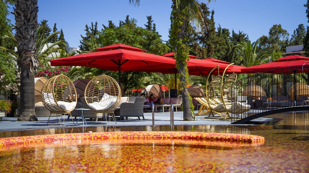 marvida senses very chic bodrum adult only 18