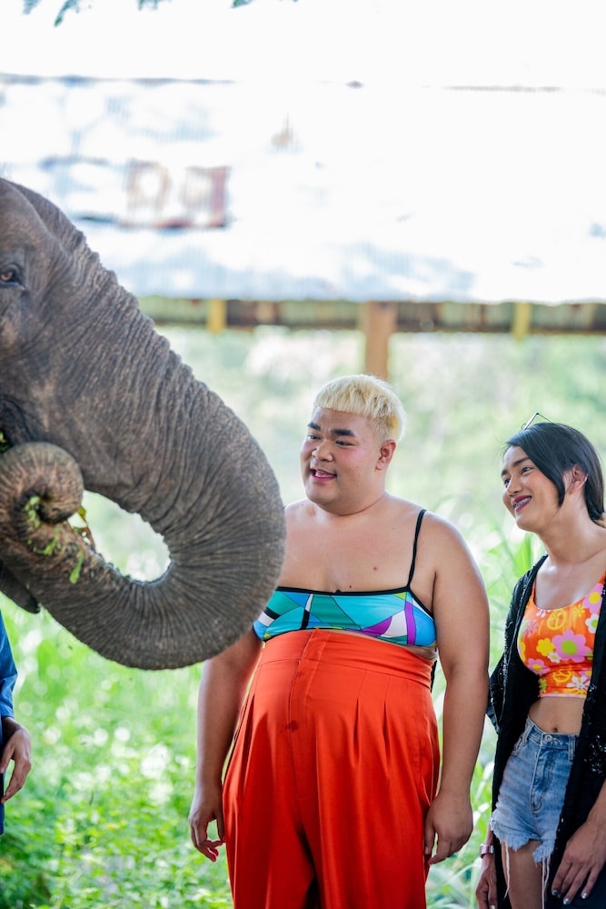 sappraiwan elephant resort and sanctuary