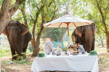 sappraiwan elephant resort and sanctuary