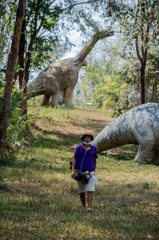 sappraiwan elephant resort and sanctuary