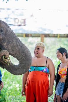 sappraiwan elephant resort and sanctuary