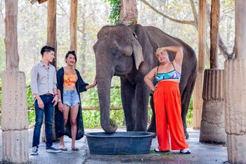 sappraiwan elephant resort and sanctuary