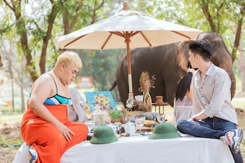 sappraiwan elephant resort and sanctuary