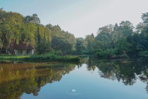 sappraiwan elephant resort and sanctuary