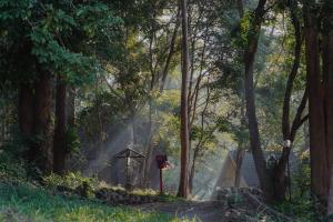 sappraiwan elephant resort and sanctuary
