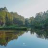 sappraiwan elephant resort and sanctuary