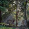 sappraiwan elephant resort and sanctuary