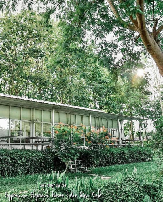 sappraiwan elephant resort and sanctuary