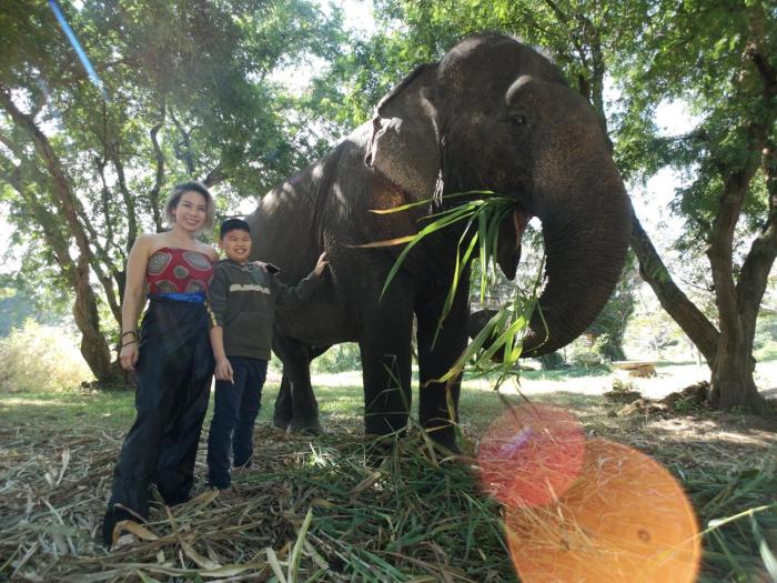 sappraiwan elephant resort and sanctuary
