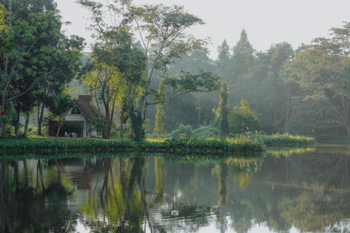 sappraiwan elephant resort and sanctuary