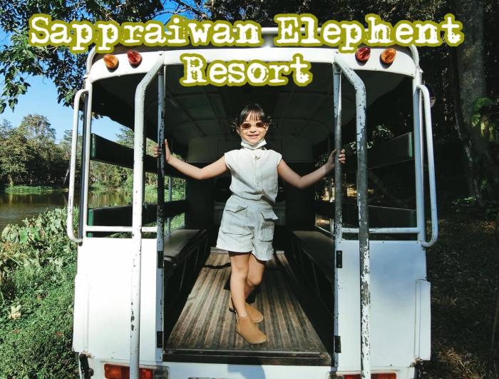 sappraiwan elephant resort and sanctuary