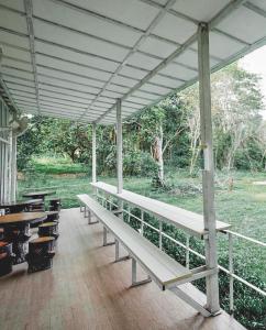 sappraiwan elephant resort and sanctuary