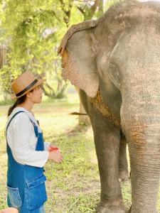 sappraiwan elephant resort and sanctuary