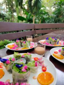 sappraiwan elephant resort and sanctuary