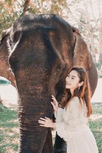 sappraiwan elephant resort and sanctuary
