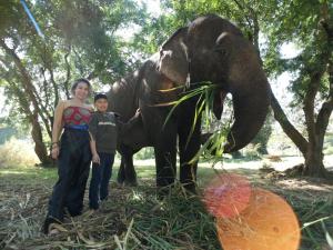 sappraiwan elephant resort and sanctuary