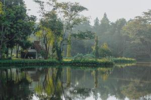 sappraiwan elephant resort and sanctuary