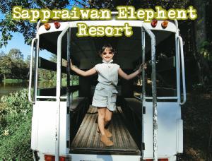 sappraiwan elephant resort and sanctuary