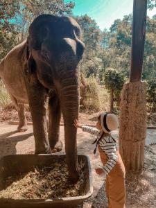 sappraiwan elephant resort and sanctuary