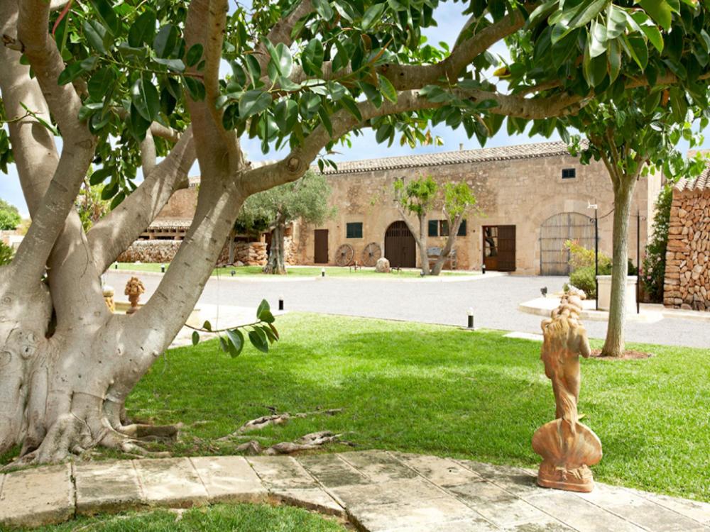 rural puig de ros dalt